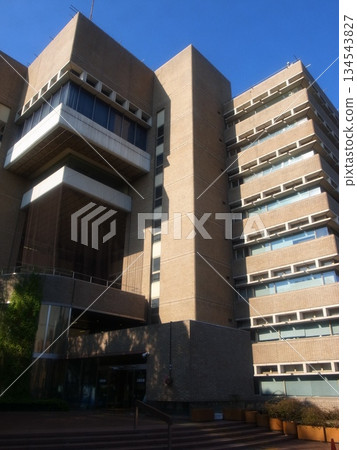 Musashino City Hall Musashino City Hall 134543827