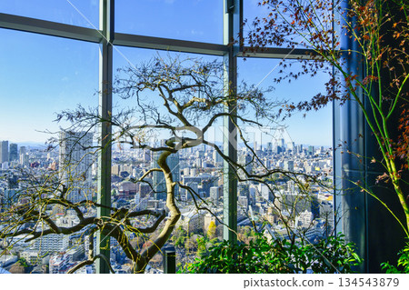 東京港區高輪門戶城新人高輪28樓觀景台，綠之庭（Midori no Niwa） 134543879