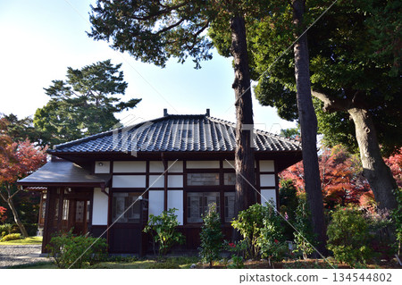 荻窪荻賀莊（近衛文麿故居）的秋葉 134544802