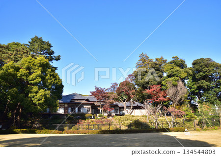 秋天從荻窪公園看到的荻窪，荻窪 134544803