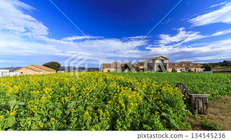 Winter on Soleil Hill 134545236