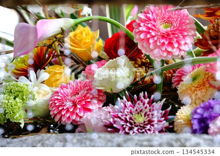 Flower Water Basin, Itoshima City, Fukuoka Prefecture 134545334