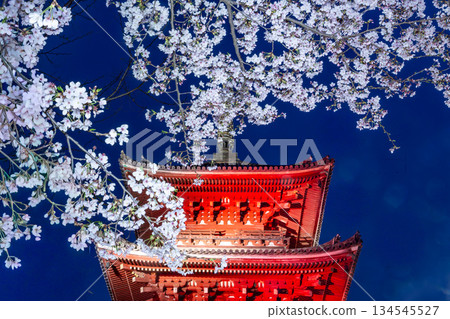 西國寺夜晚，燈光璀璨的三層寶塔與盛開的櫻花交相輝映。 134545527