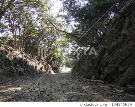 Battlefields of Tomogashima Island in Wakayama Prefecture and remains of a former Japanese military stronghold Battlefields of Tomogashima Island in Wakayama Prefecture and remains of a former Japanese military stronghold 134545639