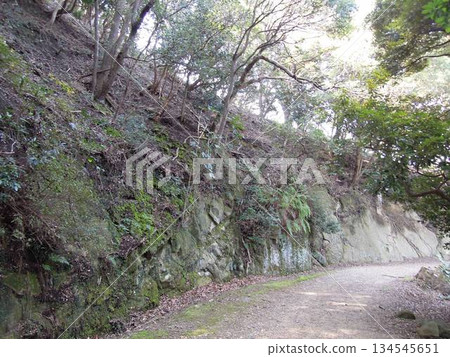 和歌山縣友島的戰場遺址和日本前軍事要塞遺跡 和歌山縣友島的戰場遺址和日本前軍事要塞遺跡 134545651