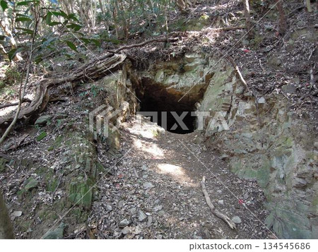 Battlefields of Tomogashima Island in Wakayama Prefecture and remains of a former Japanese military stronghold Battlefields of Tomogashima Island in Wakayama Prefecture and remains of a former Japanese military stronghold 134545686