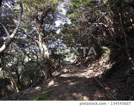 Battlefields of Tomogashima Island in Wakayama Prefecture and remains of a former Japanese military stronghold Battlefields of Tomogashima Island in Wakayama Prefecture and remains of a former Japanese military stronghold 134545687