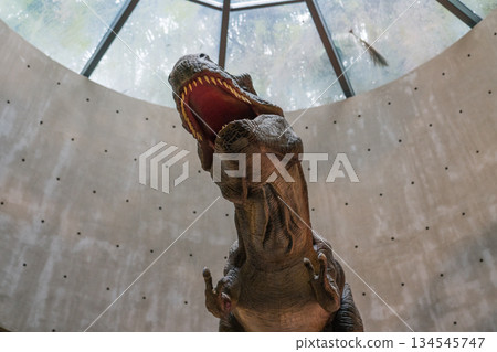 新加坡 恐龍 用餐 134545747