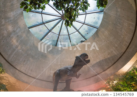 新加坡 恐龍 用餐 134545769