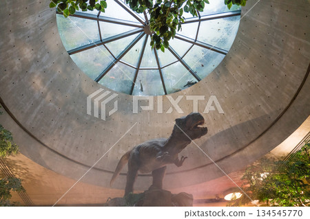 gardens by the bay, singapore, dinosaur 134545770