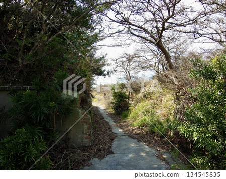 Tomogashima, Wakayama Prefecture: Battle Sites, Former Japanese Military Fortresses, and Battery Sites 134545835