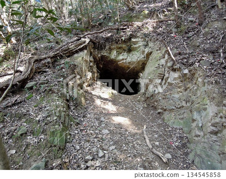Tomogashima, Wakayama Prefecture: Battle Sites, Former Japanese Military Fortresses, and Battery Sites 134545858