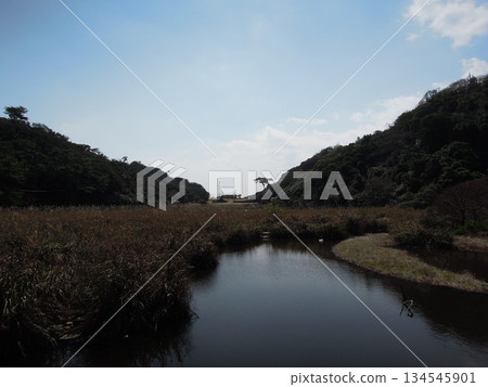 友島，和歌山縣：戰場遺址、日本前軍事要塞和砲台遺址 134545901