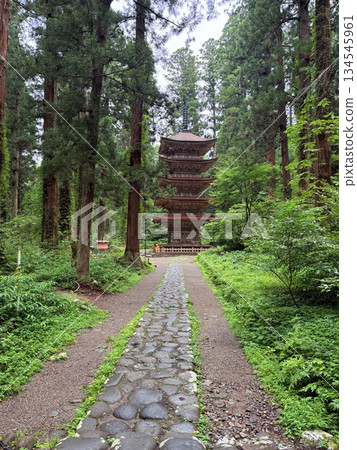 The stone steps of Mount Haguro surrounded by cedar trees The stone steps of Mount Haguro surrounded by cedar trees 134545961