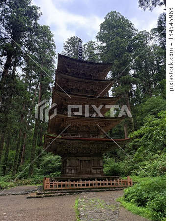 被杉樹環繞的羽狀黑山石階 134545963