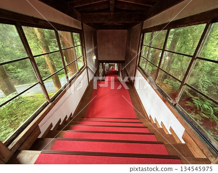The stone steps of Mount Haguro surrounded by cedar trees 134545975