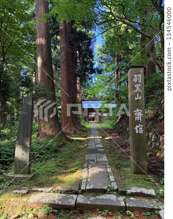 被杉樹環繞的羽狀黑山石階 134546000