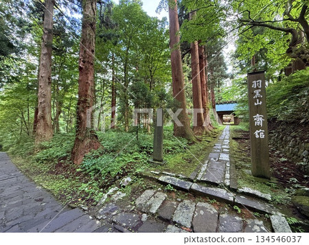 被杉樹環繞的羽狀黑山石階 134546037