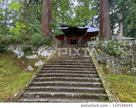 被杉樹環繞的羽狀黑山石階 被杉樹環繞的羽狀黑山石階 134546045