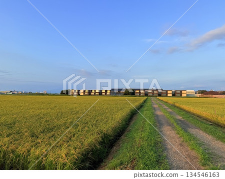 在山形縣莊內町的餐廳享用當地美食 在山形縣莊內町的餐廳享用當地美食 134546163