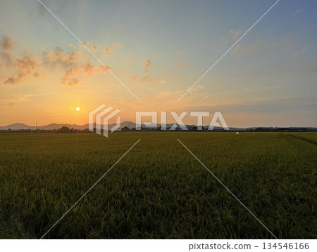 Enjoy local cuisine at a restaurant in Shonai, Yamagata Prefecture 134546166