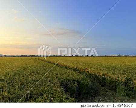 Enjoy local cuisine at a restaurant in Shonai, Yamagata Prefecture 134546167
