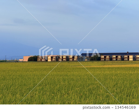在山形縣莊內町的餐廳享用當地美食 134546169