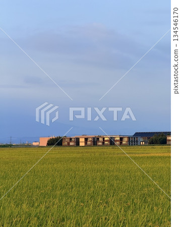 在山形縣莊內町的餐廳享用當地美食 134546170