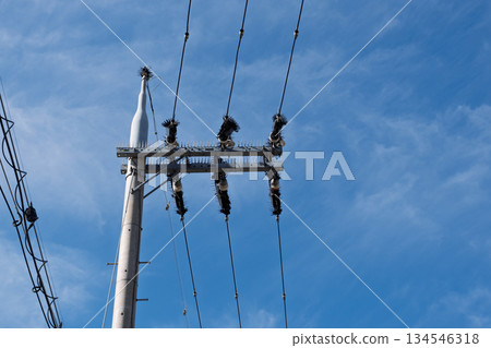 Bird damage prevention measures taken on utility poles and wires on farm roads: Record of bird pin installation status to prevent power outages, part 2 134546318