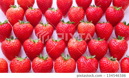 Tochiaika strawberries from Tochigi Prefecture Tochiaika strawberries from Tochigi Prefecture 134546386