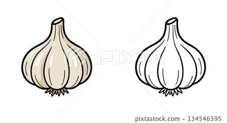 Simple garlic icon illustration 134546395