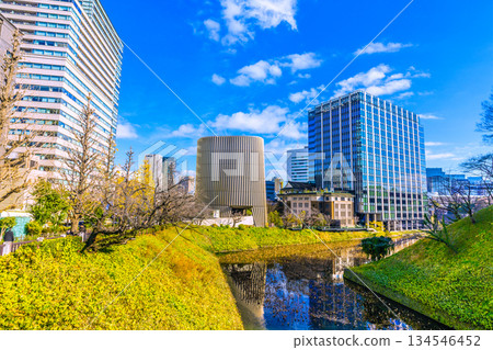 Tokyo cityscape in Japan. We must not forget that tragedy... View of Showakan in front of Kudanshita Station. The Japanese flag... = 17th 134546452