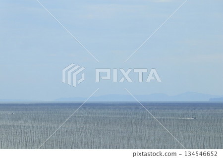 有明海海藻養殖場的景象,漁船穿梭於海藻間的縫隙。 有明海海藻養殖場的景象,漁船穿梭於海藻間的縫隙。 134546652