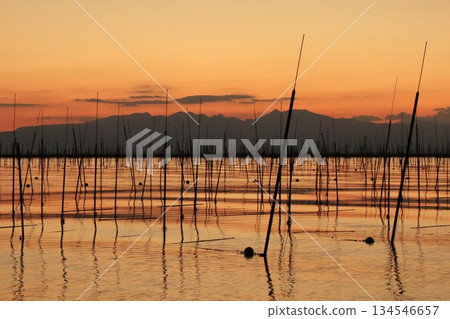 有明海海苔農場美麗的橙色景色 134546657