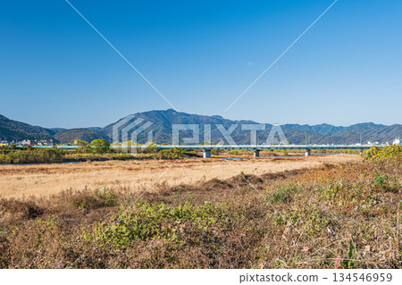 京都桂川河床的冬季景色 134546959