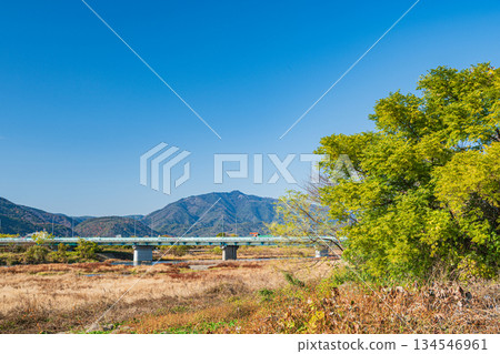 京都桂川河床的冬季景色 134546961