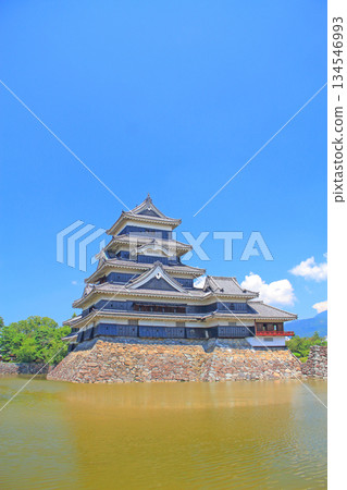 長野縣松本市國寶松本城風景 134546993