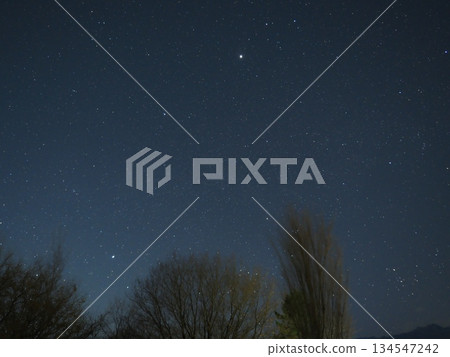 十二月的死木星 (20251218041543) 134547242