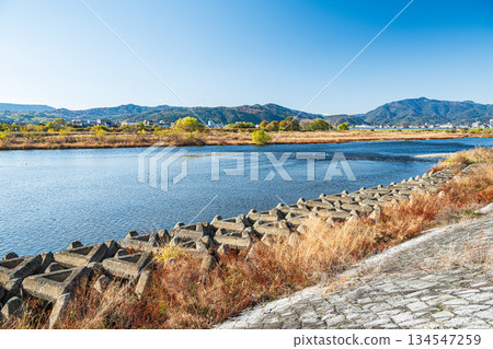 京都桂川的冬季景色 京都桂川的冬季景色 134547259