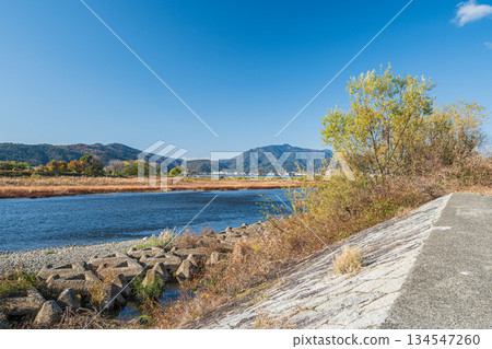 Winter scenery of the Katsura River, Kyoto City Winter scenery of the Katsura River, Kyoto City 134547260