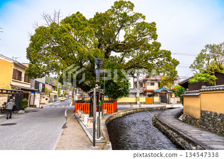 [Important Preservation District for Groups of Traditional Buildings] Kamigamo Fujiki Shrine and Spring Scenery 4, Kita Ward, Kyoto City, Kyoto Prefecture 134547338