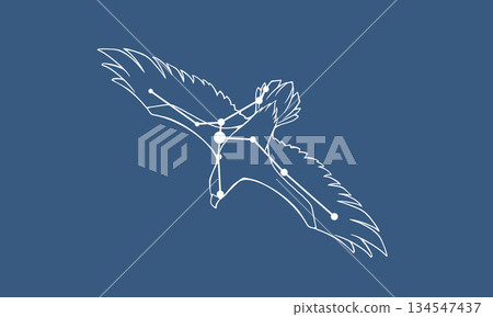 深藍色背景上的天鷹座插圖（一隻鷹和白色星座線） 134547437