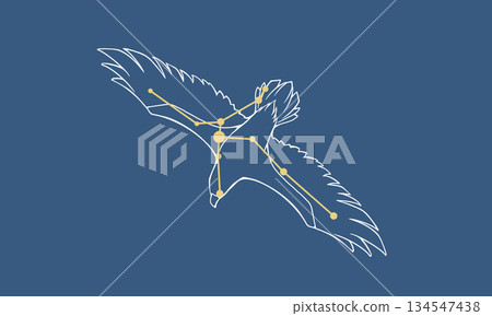 深藍色背景上的天鷹座插圖（一隻鷹和金色星座線）。 134547438