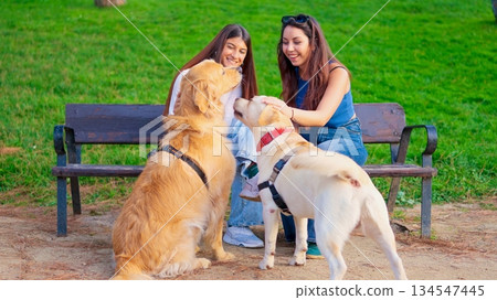 Women smiling playing with dogs in park 134547445