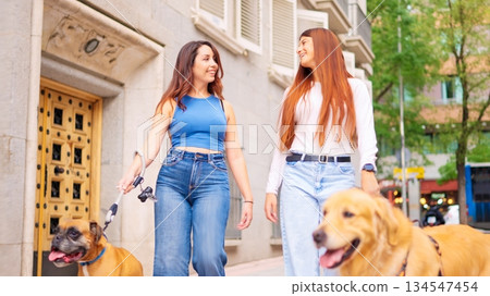 Women friends walking dogs in city street Women friends walking dogs in city street 134547454