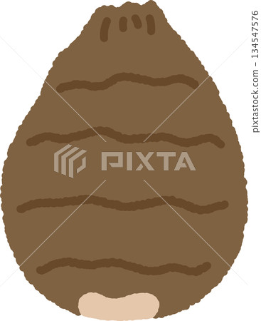 手繪單圖示插圖蔬菜芋頭 134547576