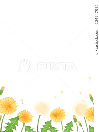 Hand drawn dandelion vector illustration 134547953