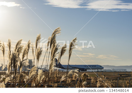 黃昏時分的仙台機場,飛機滑行,宮城縣名取市 黃昏時分的仙台機場,飛機滑行,宮城縣名取市 134548014