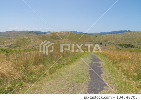 Spring 2025: Dead grass remains on the Akiyoshidai Kitayama hiking trail Spring 2025: Dead grass remains on the Akiyoshidai Kitayama hiking trail 134548705