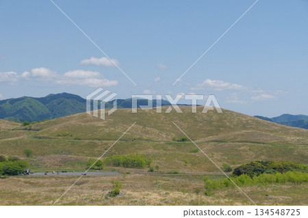 2025年春季：秋吉台，枯草依舊。從北山眺望長崎峰。 134548725